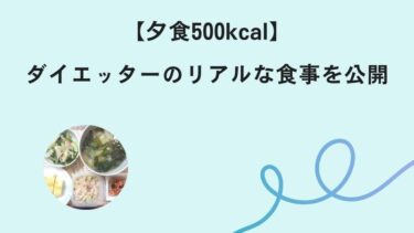 【夕食500kcal】ダイエッターのリアルな食事を公開